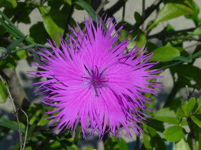 «ö¦¹¦b·sµøµ¡ÂsÄý¹Ï¤ù