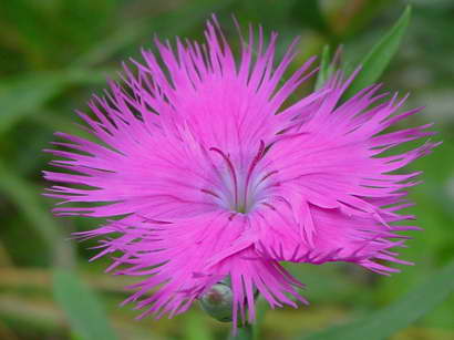 «ö¦¹¦b·sµøµ¡ÂsÄý¹Ï¤ù