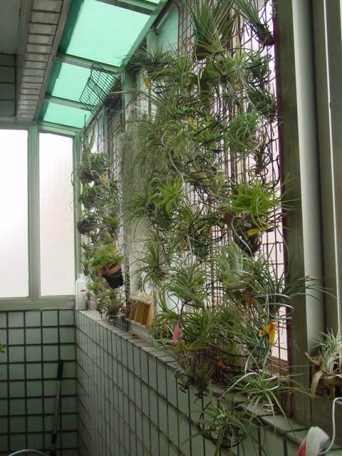 按此在新視窗瀏覽圖片