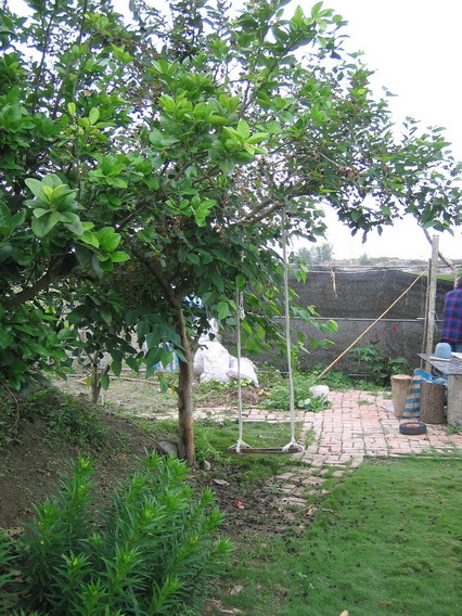 按此在新視窗瀏覽圖片