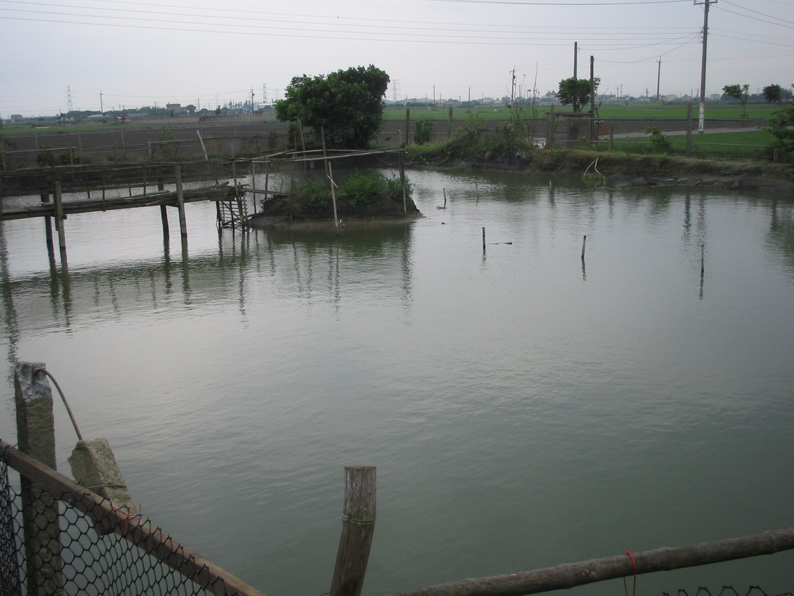 按此在新視窗瀏覽圖片