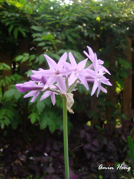 «ö¦¹¦b·sµøµ¡ÂsÄý¹Ï¤ù