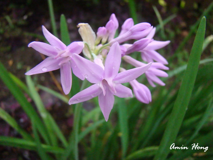 «ö¦¹¦b·sµøµ¡ÂsÄý¹Ï¤ù