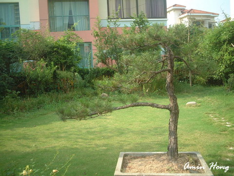 «ö¦¹¦b·sµøµ¡ÂsÄý¹Ï¤ù