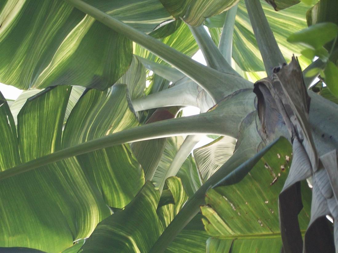 «ö¦¹¦b·sµøµ¡ÂsÄý¹Ï¤ù