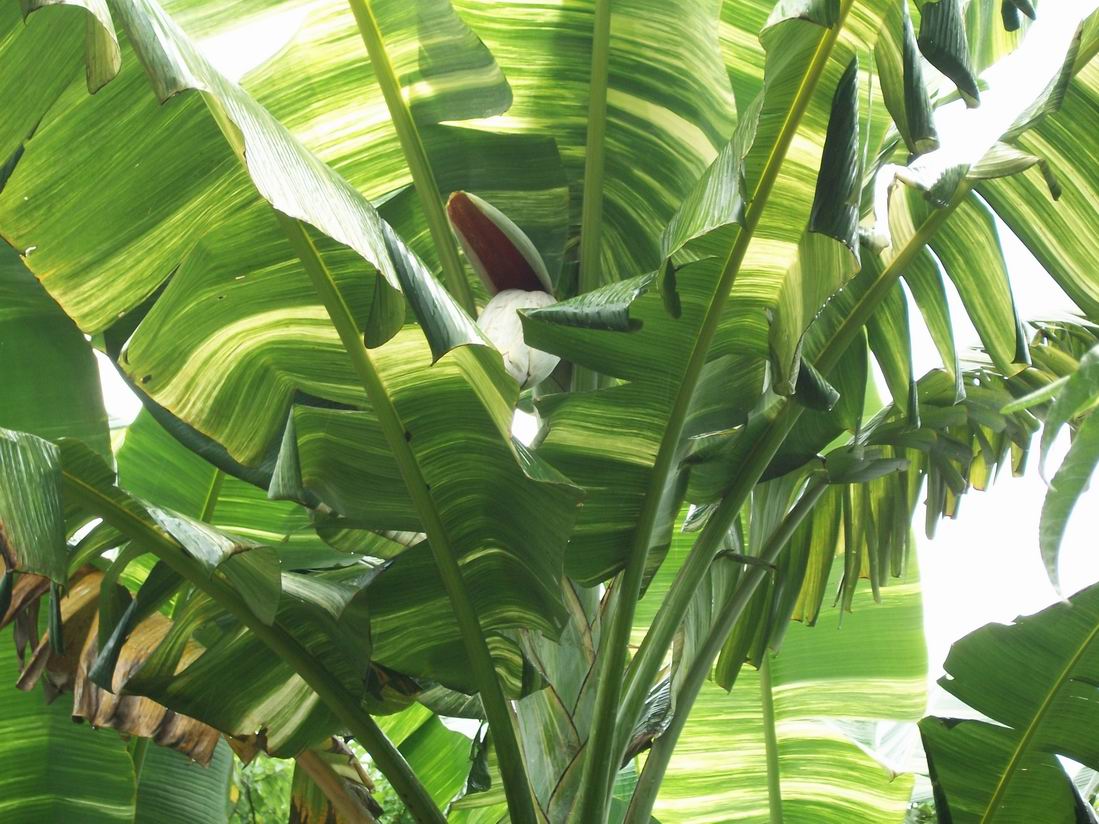 «ö¦¹¦b·sµøµ¡ÂsÄý¹Ï¤ù