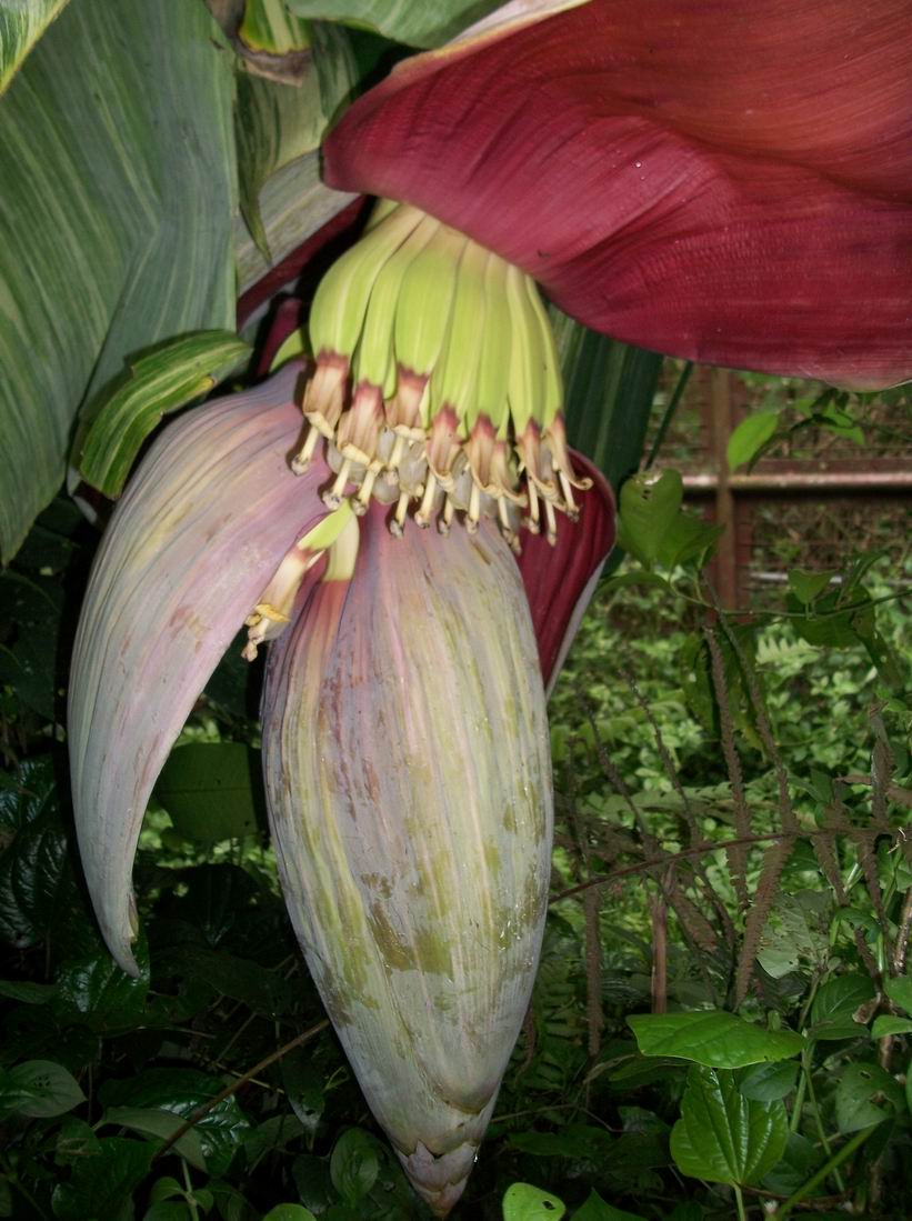 «ö¦¹¦b·sµøµ¡ÂsÄý¹Ï¤ù