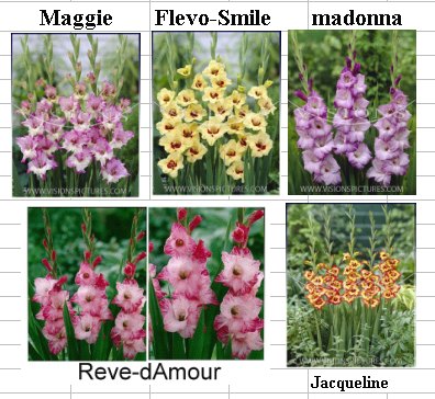 «ö¦¹¦b·sµøµ¡ÂsÄý¹Ï¤ù