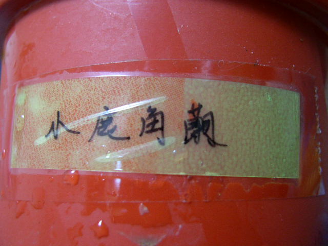 按此在新視窗瀏覽圖片