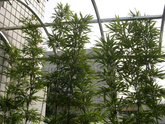 按此在新視窗瀏覽圖片