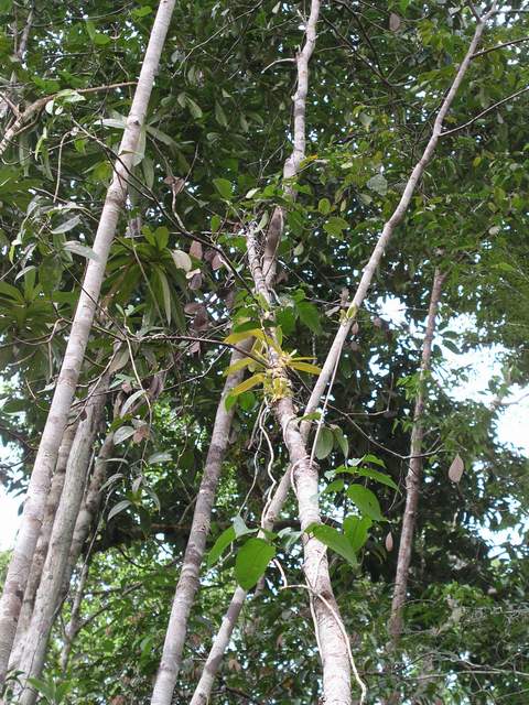 按此在新視窗瀏覽圖片