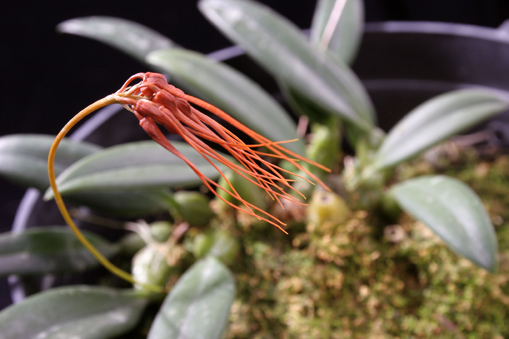 «ö¦¹¦b·sµøµ¡ÂsÄý¹Ï¤ù