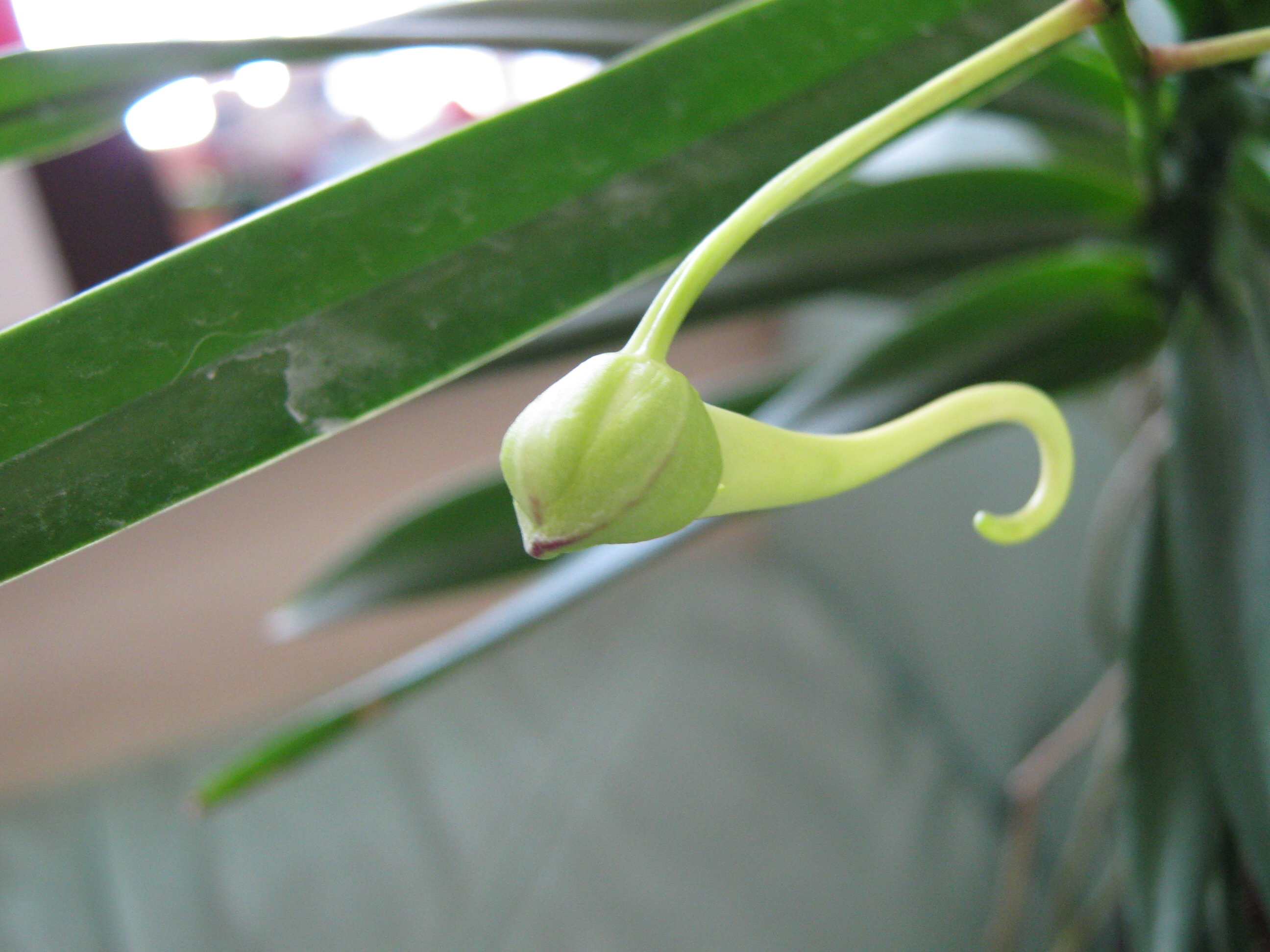 «ö¦¹¦b·sµøµ¡ÂsÄý¹Ï¤ù