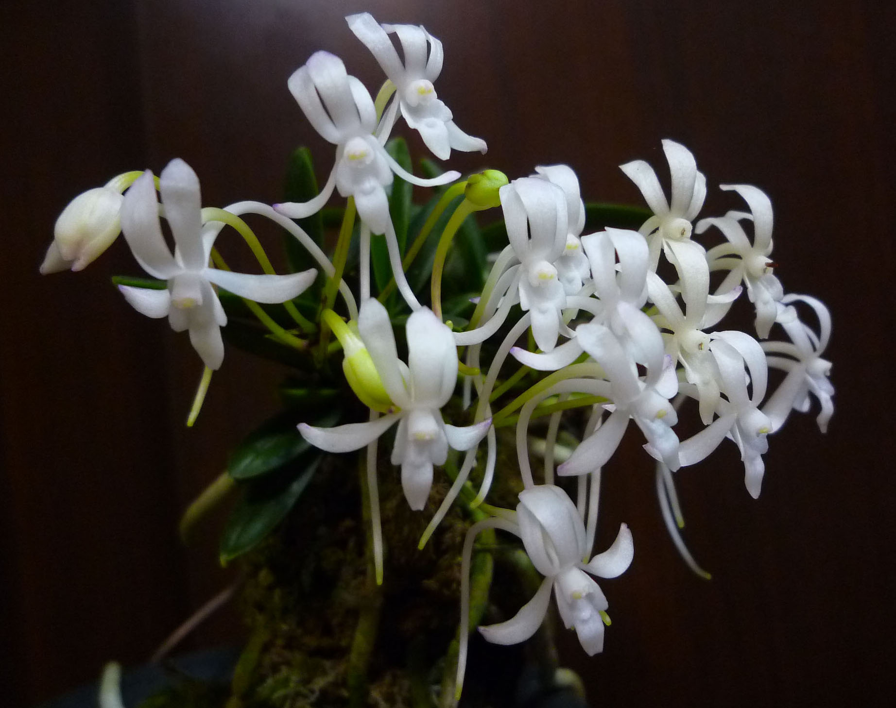 按此在新視窗瀏覽圖片