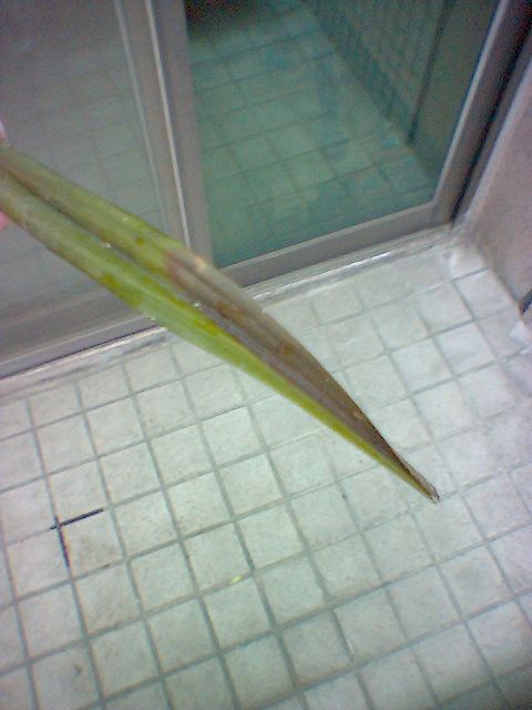 按此在新視窗瀏覽圖片