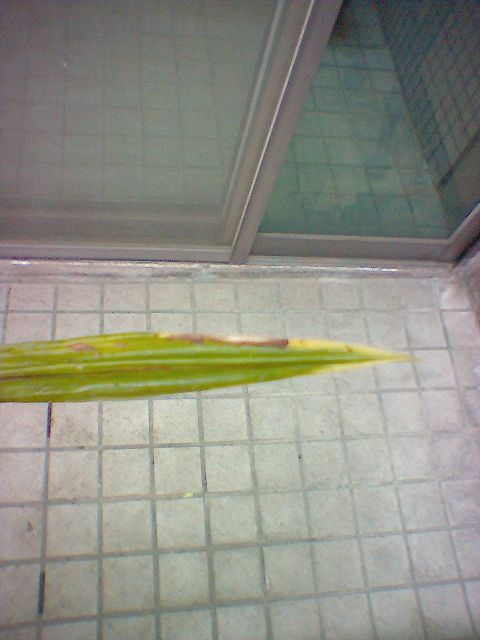 按此在新視窗瀏覽圖片