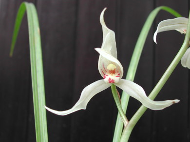 «ö¦¹¦b·sµøµ¡ÂsÄý¹Ï¤ù