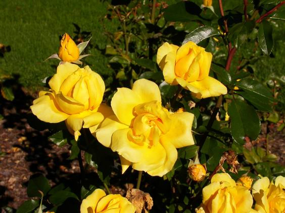 按此在新視窗瀏覽圖片