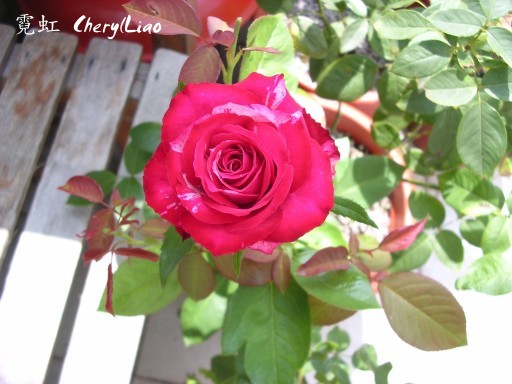 按此在新視窗瀏覽圖片