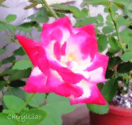 按此在新視窗瀏覽圖片