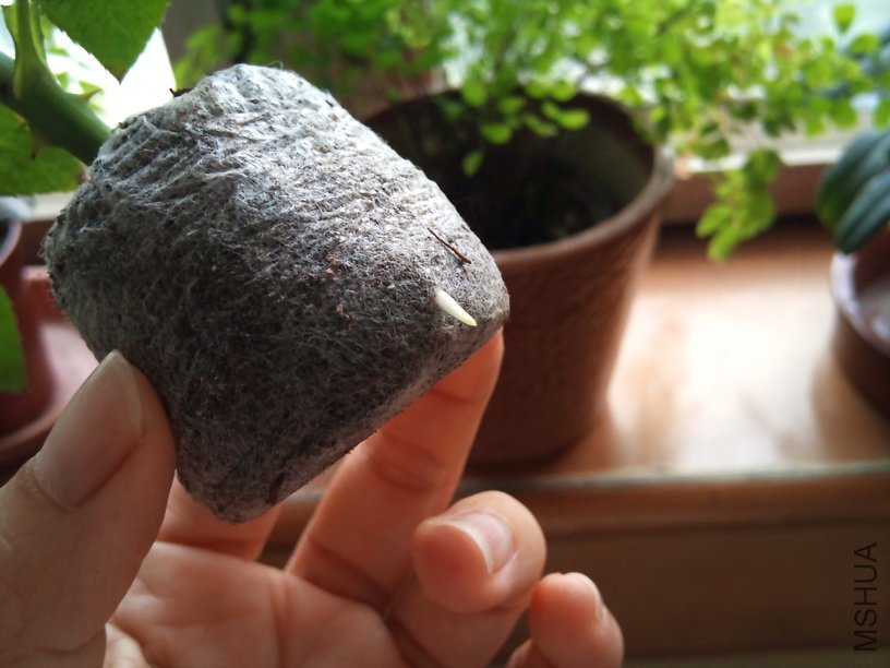 «ö¦¹¦b·sµøµ¡ÂsÄý¹Ï¤ù