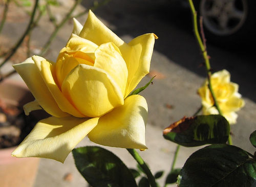 按此在新視窗瀏覽圖片