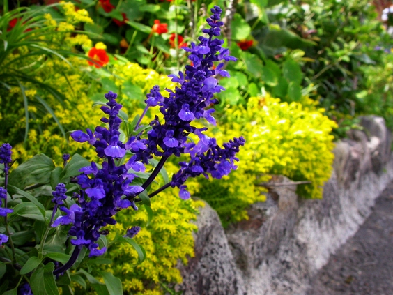 按此在新視窗瀏覽圖片