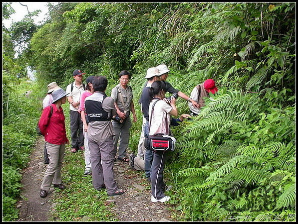 按此在新視窗瀏覽圖片
