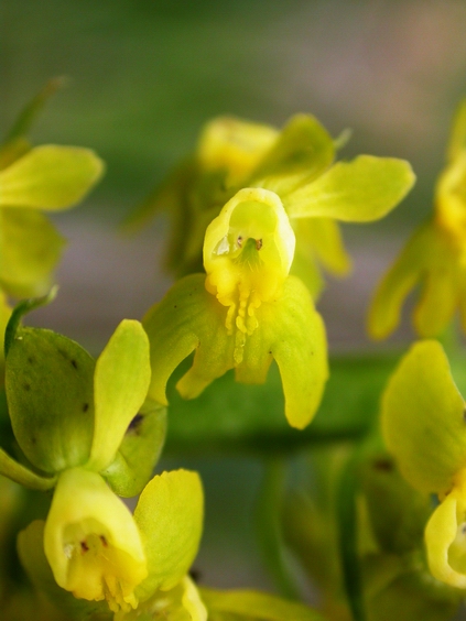 按此在新視窗瀏覽圖片