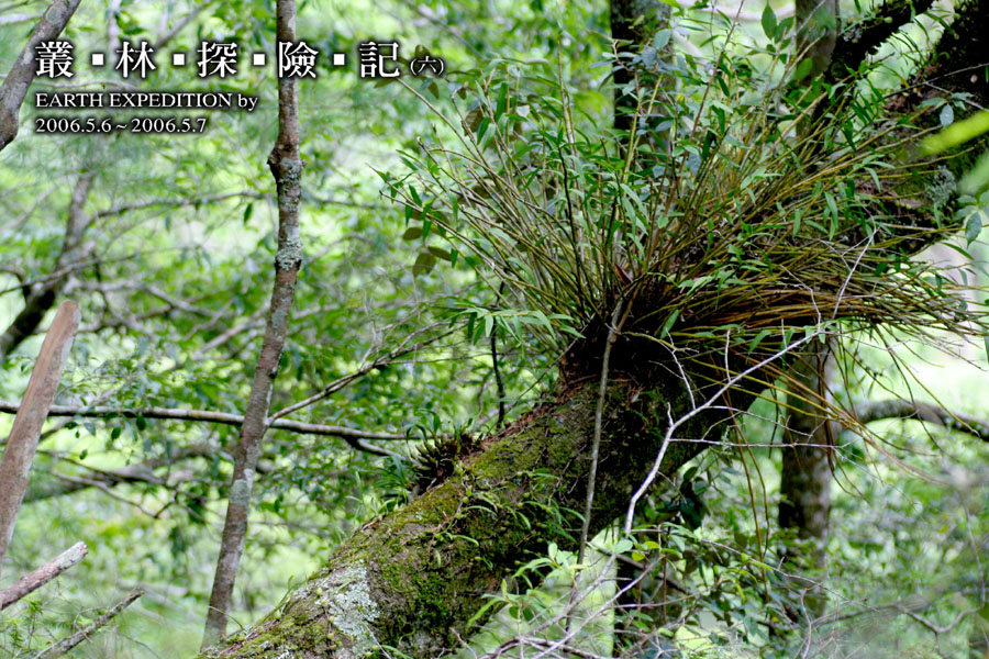 按此在新視窗瀏覽圖片