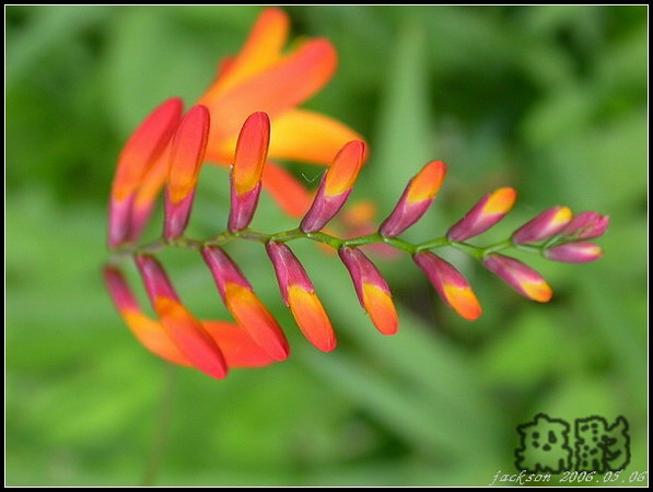 按此在新視窗瀏覽圖片