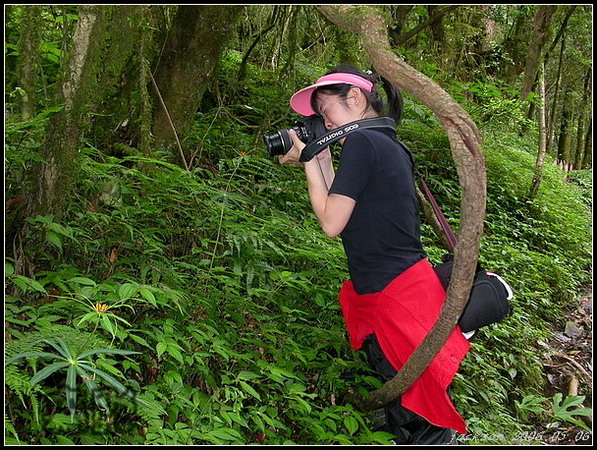 按此在新視窗瀏覽圖片