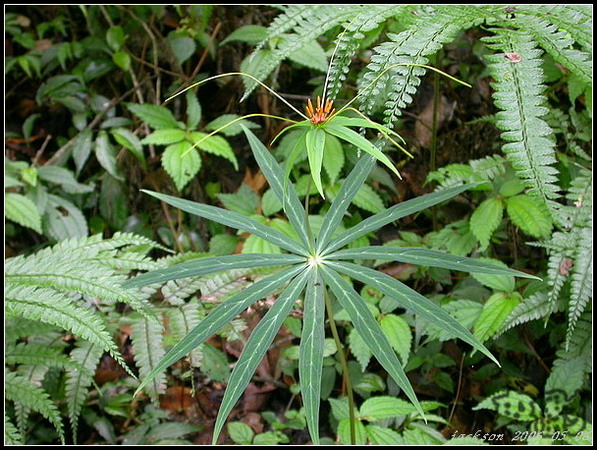 按此在新視窗瀏覽圖片