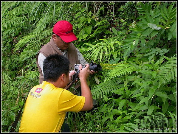 按此在新視窗瀏覽圖片