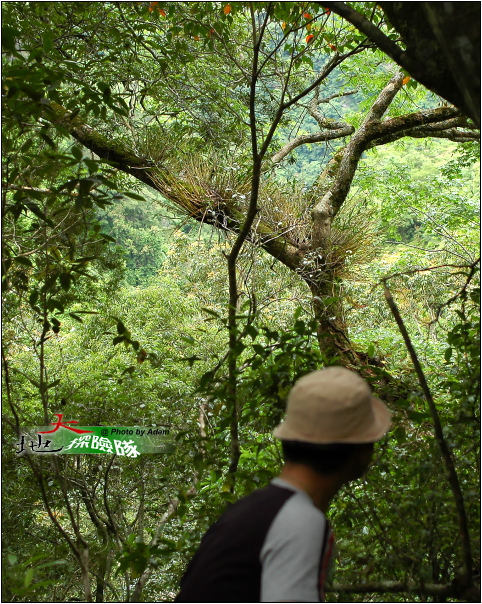 按此在新視窗瀏覽圖片