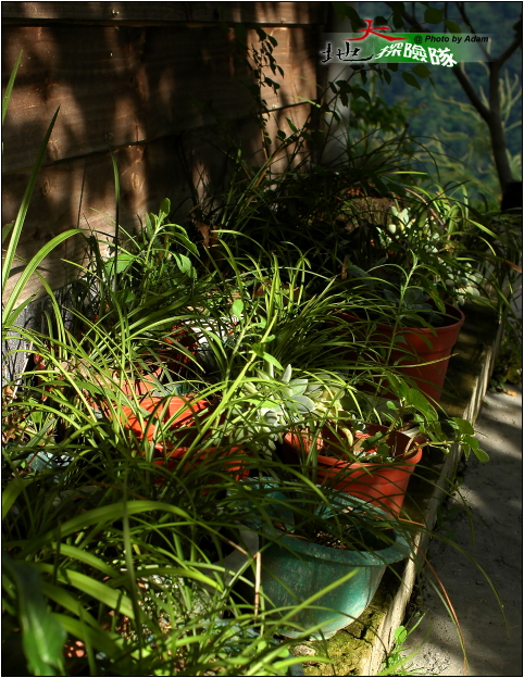 按此在新視窗瀏覽圖片