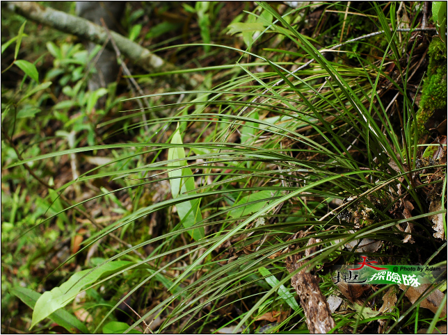 按此在新視窗瀏覽圖片
