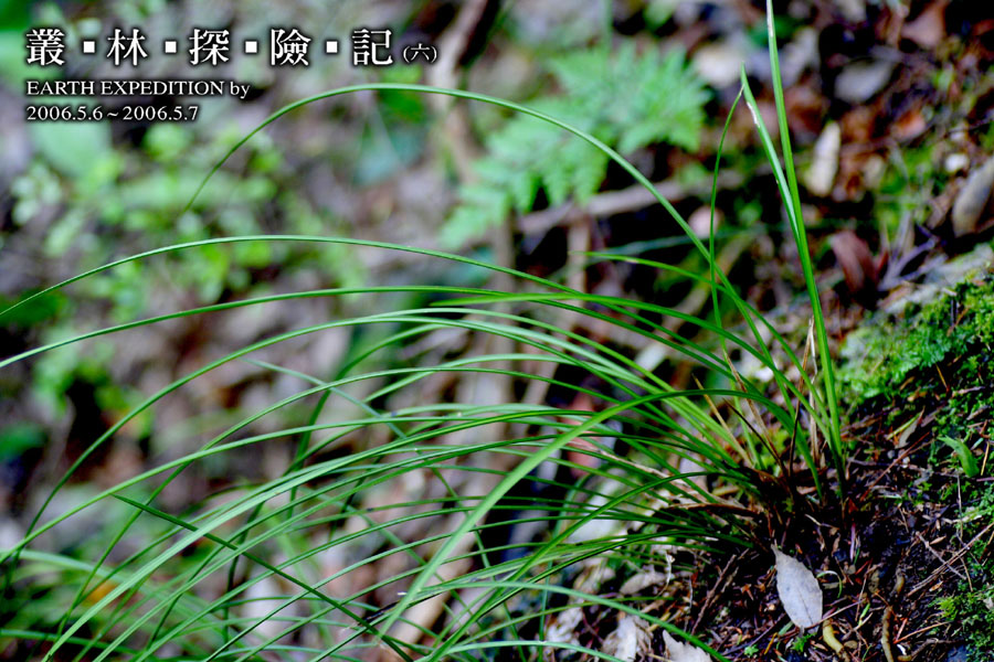 按此在新視窗瀏覽圖片