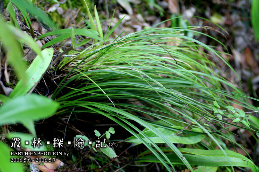 按此在新視窗瀏覽圖片