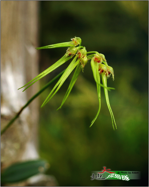 按此在新視窗瀏覽圖片