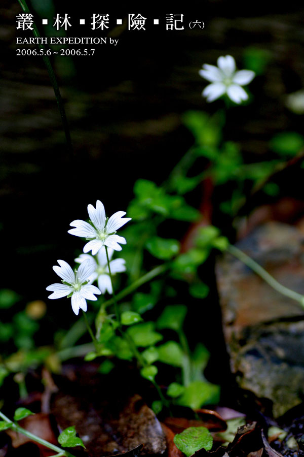 按此在新視窗瀏覽圖片