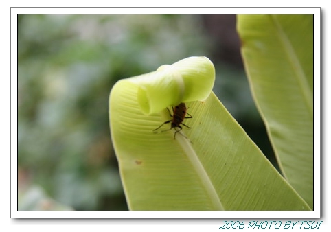 按此在新視窗瀏覽圖片