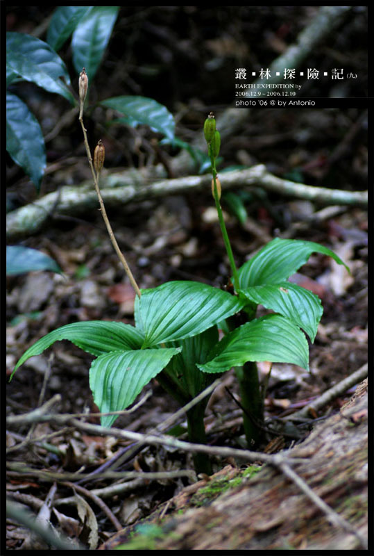 按此在新視窗瀏覽圖片