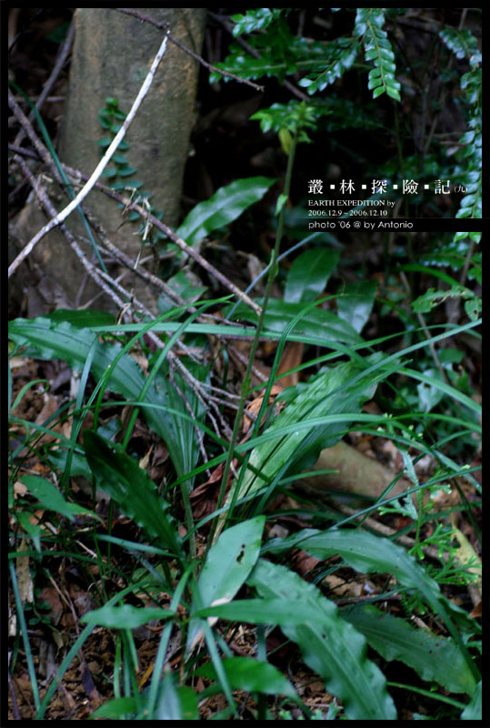 按此在新視窗瀏覽圖片