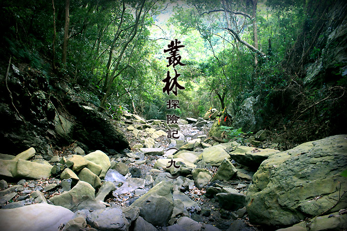 按此在新視窗瀏覽圖片