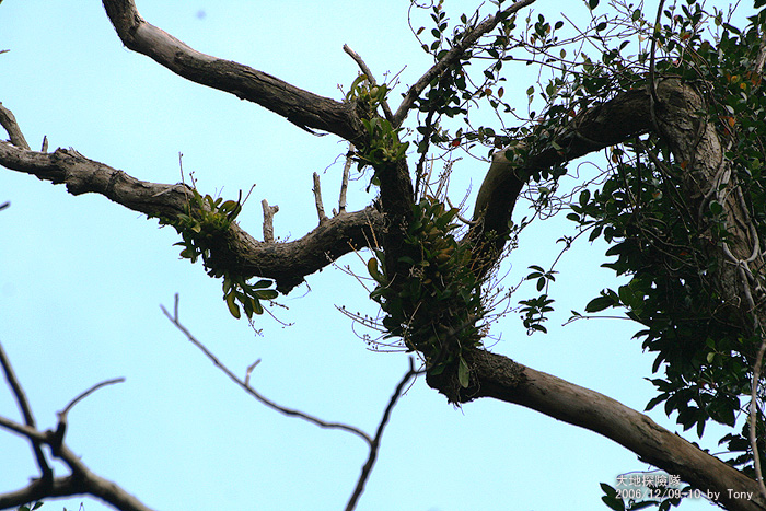 按此在新視窗瀏覽圖片