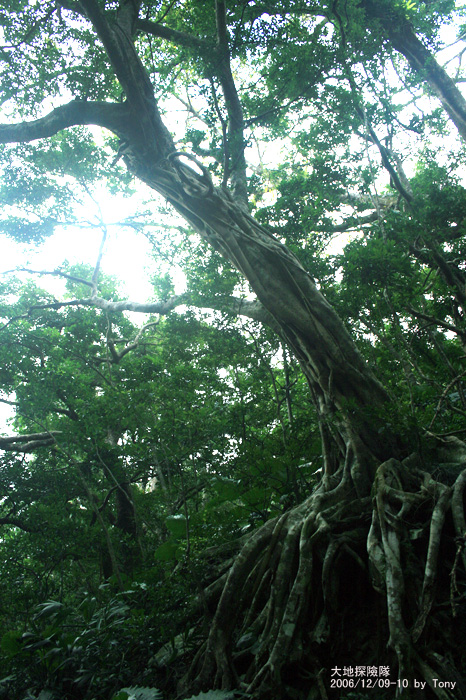 按此在新視窗瀏覽圖片