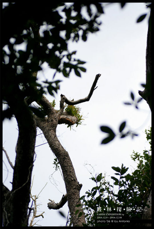 按此在新視窗瀏覽圖片
