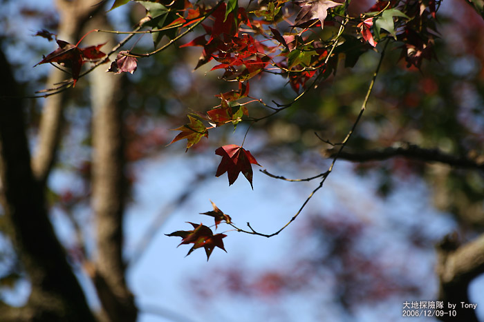 按此在新視窗瀏覽圖片