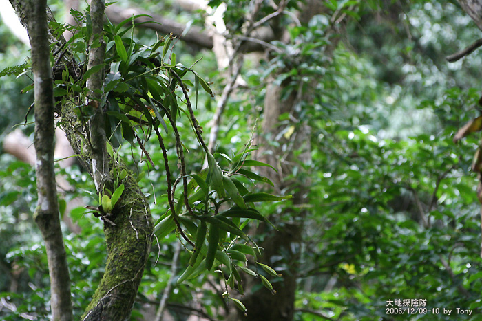 按此在新視窗瀏覽圖片